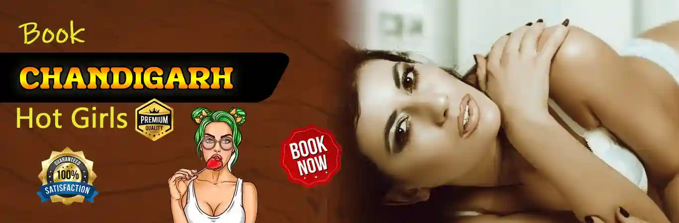 Chandigarh Escorts Banner